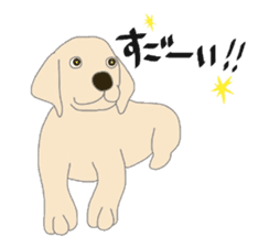 Labrador Retrievers' cute expressions sticker #6750826