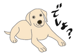 Labrador Retrievers' cute expressions sticker #6750827