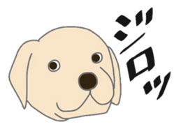 Labrador Retrievers' cute expressions sticker #6750828