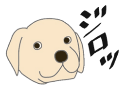 Labrador Retrievers' cute expressions sticker #6750828