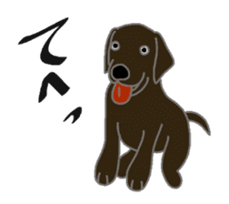 Labrador Retrievers' cute expressions sticker #6750829