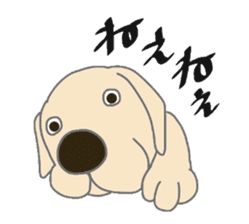 Labrador Retrievers' cute expressions sticker #6750830