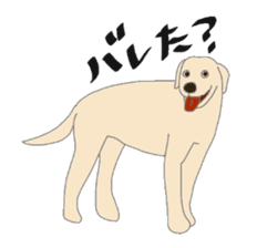 Labrador Retrievers' cute expressions sticker #6750831