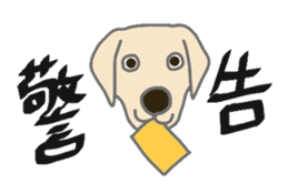 Labrador Retrievers' cute expressions sticker #6750832