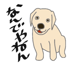 Labrador Retrievers' cute expressions sticker #6750834