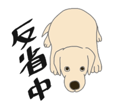 Labrador Retrievers' cute expressions sticker #6750835