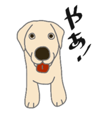 Labrador Retrievers' cute expressions sticker #6750836