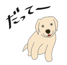 Labrador Retrievers' cute expressions sticker #6750838