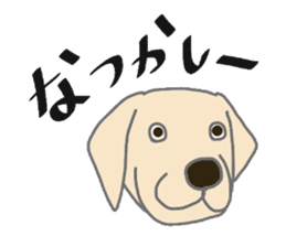 Labrador Retrievers' cute expressions sticker #6750839