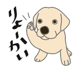 Labrador Retrievers' cute expressions sticker #6750840