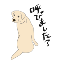 Labrador Retrievers' cute expressions sticker #6750841