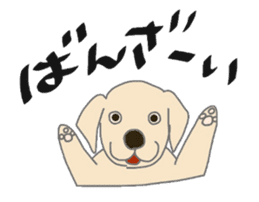 Labrador Retrievers' cute expressions sticker #6750842