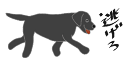 Labrador Retrievers' cute expressions sticker #6750844