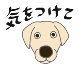 Labrador Retrievers' cute expressions sticker #6750845