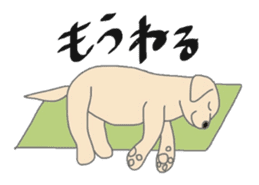 Labrador Retrievers' cute expressions sticker #6750846