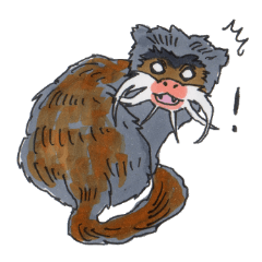 Sticker of the Tamarin