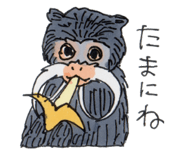 Sticker of the Tamarin sticker #6750891