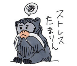 Sticker of the Tamarin sticker #6750894