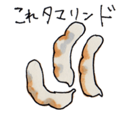 Sticker of the Tamarin sticker #6750900