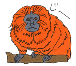 Sticker of the Tamarin sticker #6750901