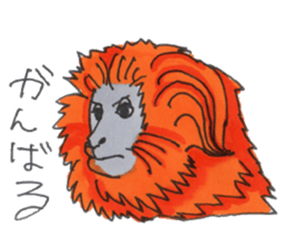 Sticker of the Tamarin sticker #6750903