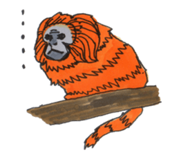 Sticker of the Tamarin sticker #6750908