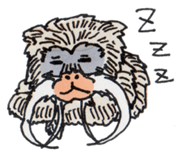 Sticker of the Tamarin sticker #6750911