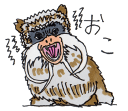 Sticker of the Tamarin sticker #6750915