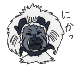 Sticker of the Tamarin sticker #6750916