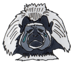 Sticker of the Tamarin sticker #6750917