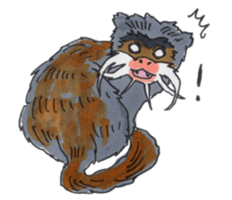 Sticker of the Tamarin sticker #6750920