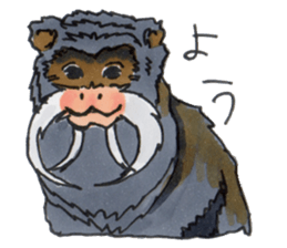 Sticker of the Tamarin sticker #6750924