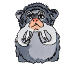 Sticker of the Tamarin sticker #6750925