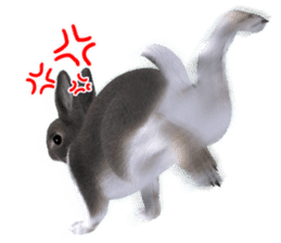 Expressive rabbit sticker sticker #6751453