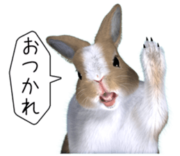Expressive rabbit sticker sticker #6751454