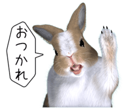 Expressive rabbit sticker sticker #6751454