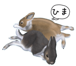 Expressive rabbit sticker sticker #6751455