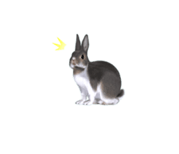 Expressive rabbit sticker sticker #6751465