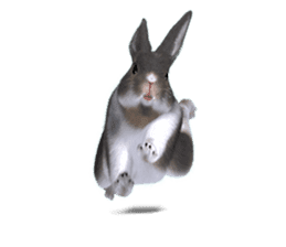 Expressive rabbit sticker sticker #6751466