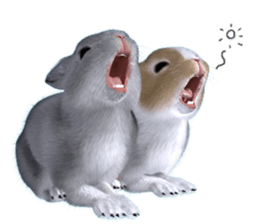 Expressive rabbit sticker sticker #6751475