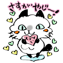 Kanazawa,Ishikawa cat Giuliano 003