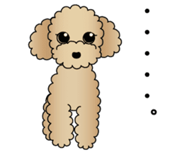 The Toy Poodle stickers 2 sticker #6751850