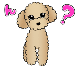 The Toy Poodle stickers 2 sticker #6751851