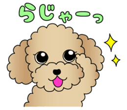 The Toy Poodle stickers 2 sticker #6751853
