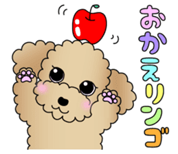 The Toy Poodle stickers 2 sticker #6751855
