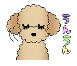 The Toy Poodle stickers 2 sticker #6751861