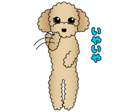 The Toy Poodle stickers 2 sticker #6751862