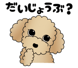 The Toy Poodle stickers 2 sticker #6751870