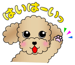 The Toy Poodle stickers 2 sticker #6751872