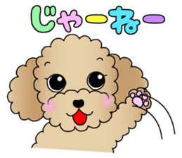 The Toy Poodle stickers 2 sticker #6751873